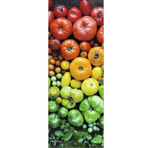 Verschillende soorten en maten tomaten op een rij.
