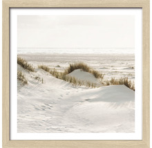 Ingelijste afbeelding van een duinlandschap aan zee