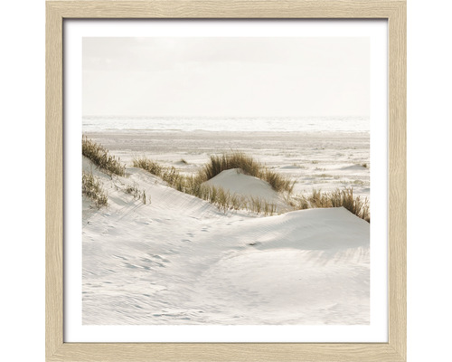 Ingelijste afbeelding van een duinlandschap aan zee