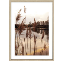 Ingelijste afbeelding met riet en meer