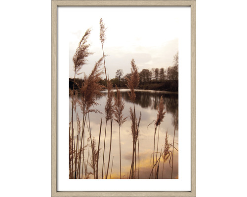 Ingelijste afbeelding met riet en meer