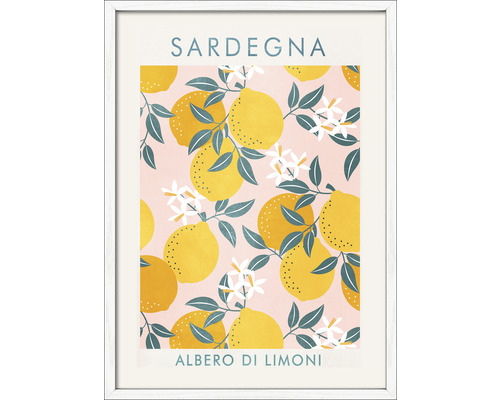 PURE LIVING Schilderij met lijst Sardegna 53x73 cm