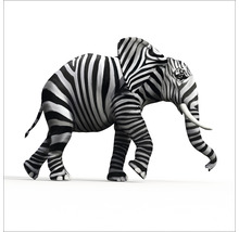 Illustratie van een olifant met een zebramotief