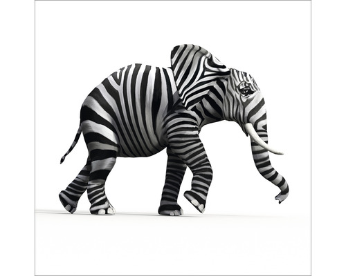Illustratie van een olifant met een zebramotief