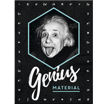 Poster met Albert Einstein en het opschrift Genialiteit is vereist