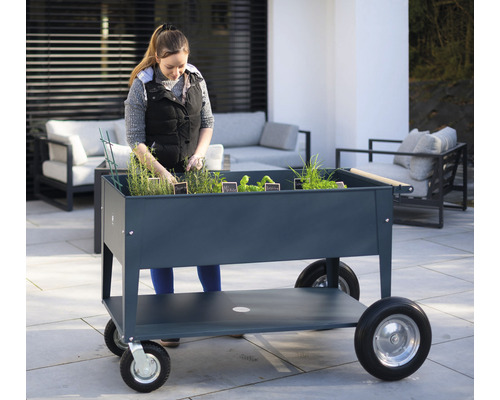 Vrouw werkt aan een verrijdbare plantenbak met planten op een terras.