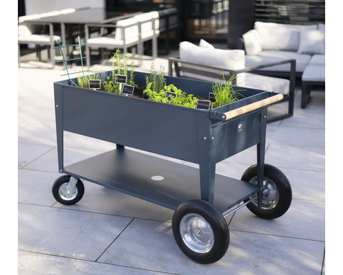 Verrijdbare kruidentuinwagen met planten en kruiden