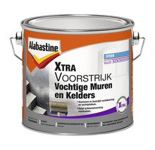 Alabastine Xtra Voorstrijk voor vochtige muren en kelders in metalen emmer