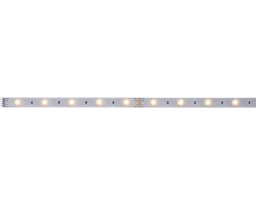 PAULMANN MaxLED 250 LED-strip instelbaar wit 100 cm zilver ongecoat