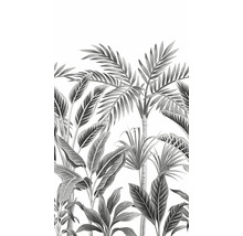 Illustratie van tropische planten, waaronder palmen en bananenplanten