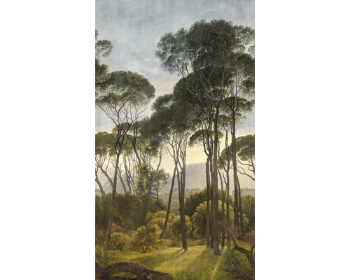 GRANDECO Fotobehang vlies woud 159x280 cm Behang met boslandschap en hoge bomen