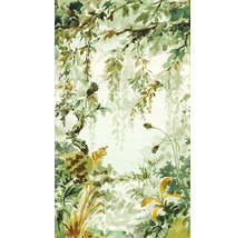 Illustratie van een tuin met planten