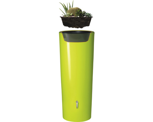Regenton met plantenbak en beplanting