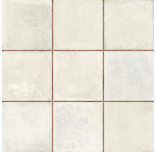 Wand- en Vloertegel Antee wit 33x33 cm