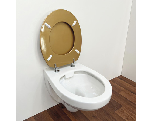 Wandcloset diepspoel met toiletzitting