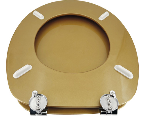 Toiletdeksel van kunststof met roestvrijstalen scharnieren