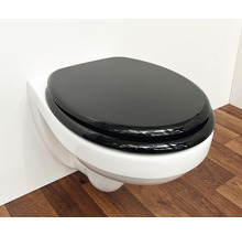 Wandcloset met toiletzitting