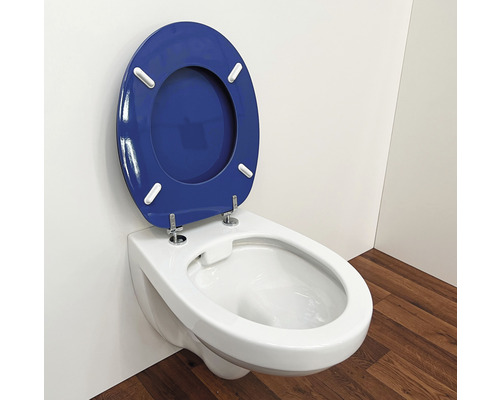 Wandcloset met diepspoeling en blauwe toiletbril