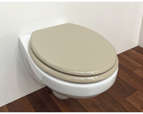 Wandcloset met diepspoeling en toiletbril