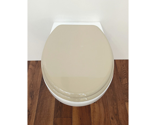 Foto van een toilet met een gesloten toiletdeksel