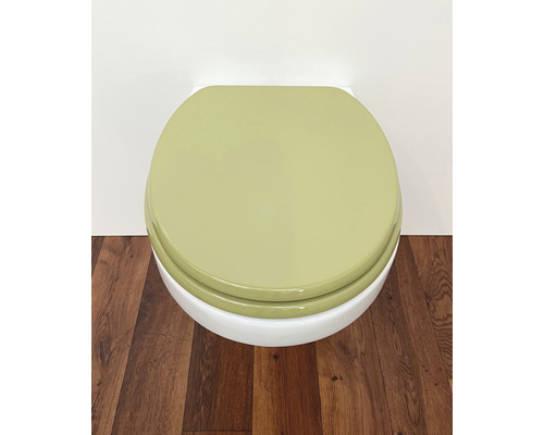 Toilet met gesloten deksel