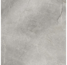 Wand- en vloertegel Lido Silver zilvergrijs 119,7x119,7 cm gerectificeerd