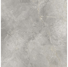 Wand- en vloertegel Lido Silver zilvergrijs 119,7x119,7 cm gerectificeerd