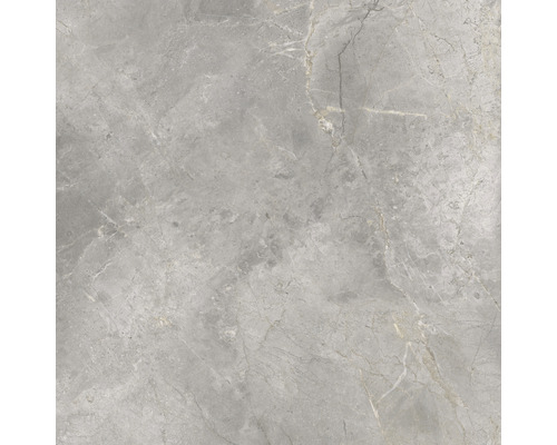 Wand- en vloertegel Lido Silver zilvergrijs 119,7x119,7 cm gerectificeerd Wand- en vloertegel Lido Silver zilvergrijs 119,7x119,7 cm gerectificeerd