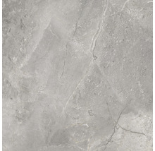 Wand- en vloertegel Lido Silver zilvergrijs 119,7x119,7 cm gerectificeerd