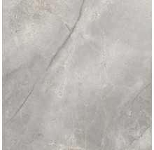 Wand- en vloertegel Lido Silver zilvergrijs 119,7x119,7 cm gerectificeerd