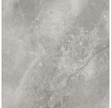 Wand- en vloertegel Lido Silver zilvergrijs 119,7x119,7 cm gerectificeerd