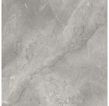 Wand- en vloertegel Lido Silver zilvergrijs 119,7x119,7 cm gerectificeerd