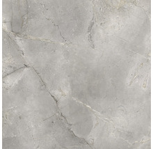 Wand- en vloertegel Lido Silver zilvergrijs 119,7x119,7 cm gerectificeerd