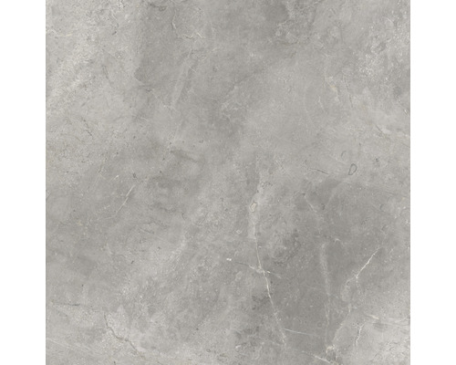 Grijze tegel met steeneffect.