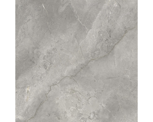 Grijze tegel met marmerstructuur