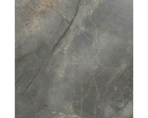 Grijze vloertegel met marmerstructuur