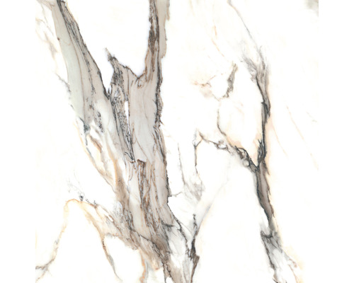 Wand- en vloertegel Calacatta wit-goud gemarmerd 119,7x119,7 cm gerectificeerd Wand- en vloertegel Calacatta wit-goud gemarmerd 119,7x119,7 cm gerectificeerd