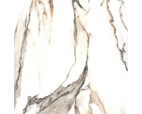 Voorbeeld van een vloertegel met marmerlook