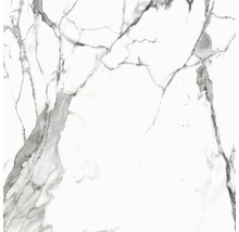 Wand- en vloertegel Calacatta wit-grijs gemarmerd 119,7x119,7 cm gerectificeerd