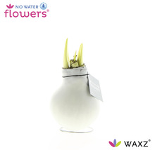 No Water Flowers bloembol in vaas