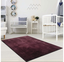 Een kinderkamer met een bordeauxrood tapijt, babybedjes en planken.
