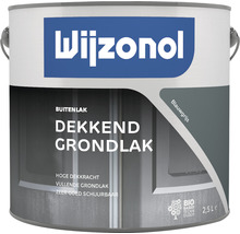 WIJZONOL Dekkend grondlak blauwgrijs T55 2,5 l