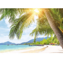 Scene van een tropisch strand met palmbomen en zonlicht