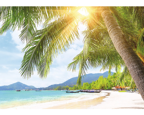 Scene van een tropisch strand met palmbomen en zonlicht