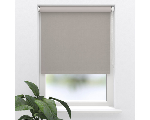 Raam met rolgordijn voor lichtregeling