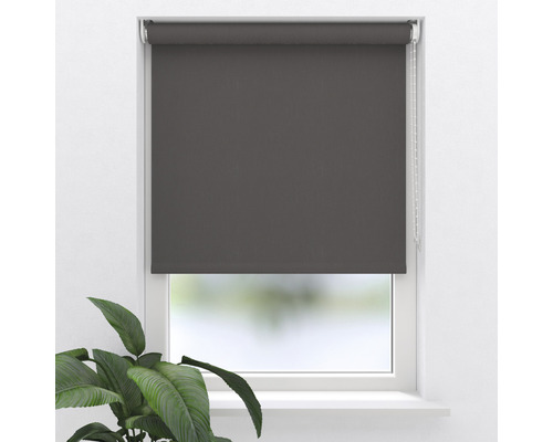 SOLUNA Rolgordijn verduisterend D17 antraciet 60x190 cm Grijze rolgordijn voor raambekleding