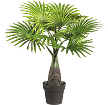 Kunstmatige waaierpalm in pot