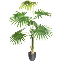 Kunstmatige waaierpalm in pot