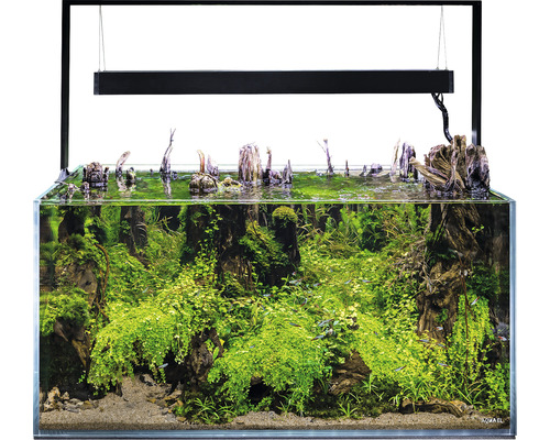 AQUAEL Aquariumcombinatie UltraScape 90 met LED verlichting 243 L excl. onderkast houtlook 90x60x45 cm