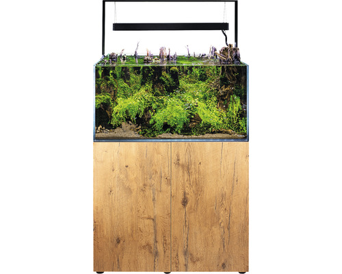 Compleet aquarium met onderkast en beplanting